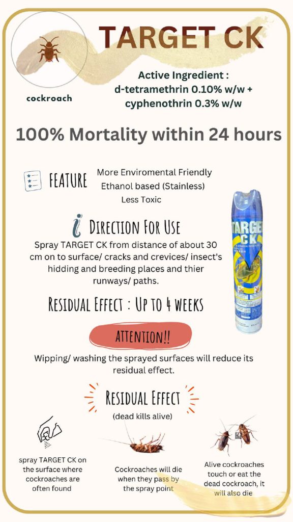 Target Insecticida Insecticide Aerosol – Kudamas